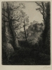 Antique #1079931