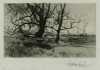 Antique #1079716