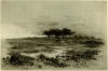 Antique #1080263