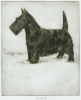 Antique #1080411