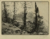 Antique #1079922