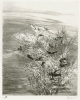 Antique #1079756