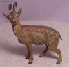 Antique #1088492