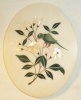 Antique #1129819