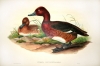 Antique #29400
