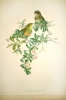 Antique #29395