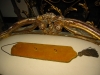 Antique #1122952