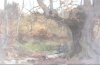 Antique #6836