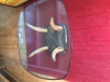 Antique #1147457