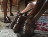 Antique #1148680