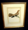 Antique #1055200