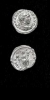 Antique #1107493