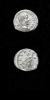 Antique #1107469