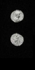 Antique #1114441