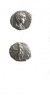 Antique #1073284