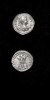 Antique #1099608