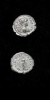 Antique #1099610