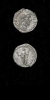 Antique #1100869