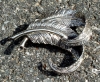 Antique #1076687
