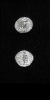 Antique #1073595