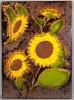 Antique #39702