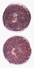 Antique #1069207