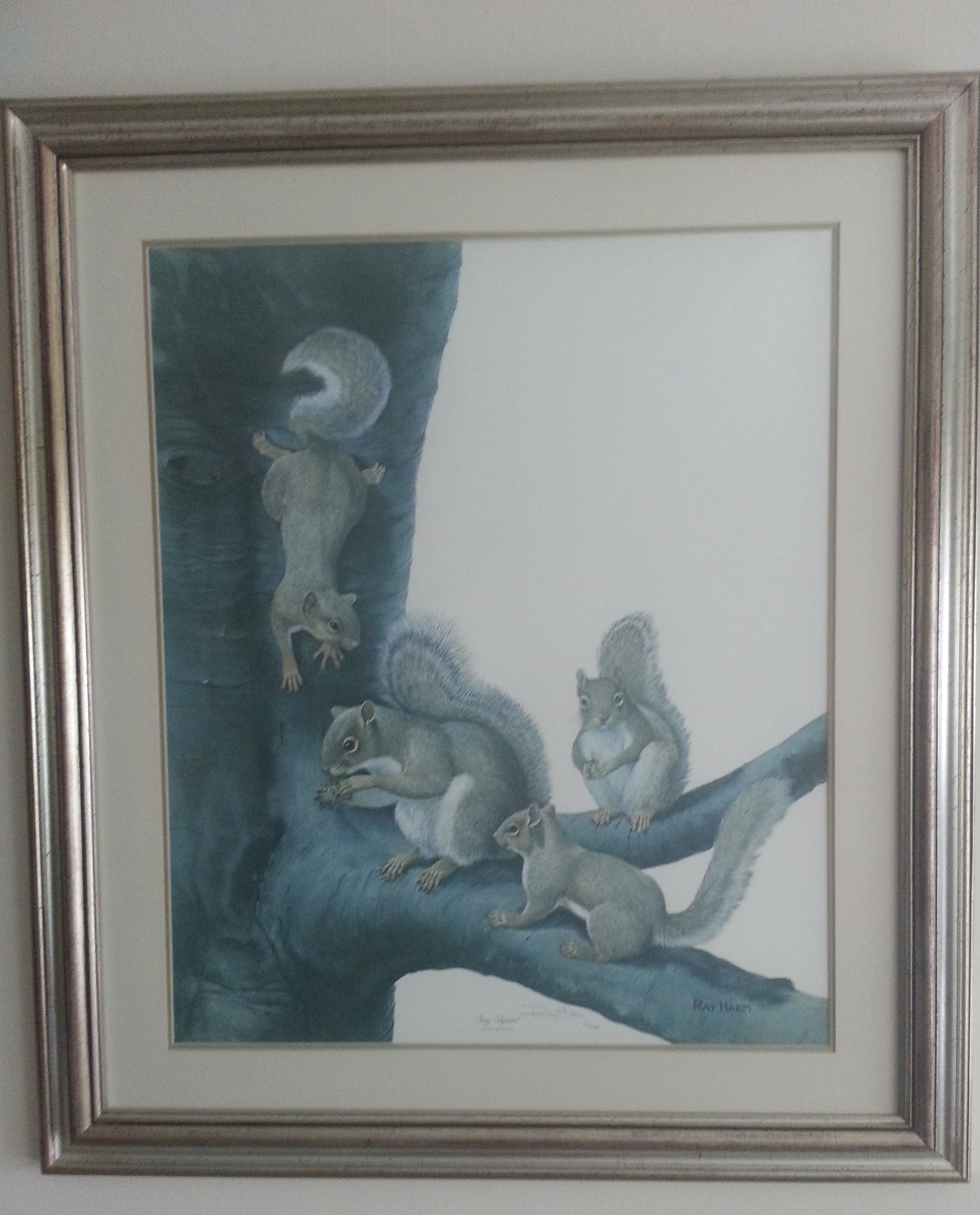Ray Harm Gray Squirrel Print For Sale | Antiques.com | Classifieds